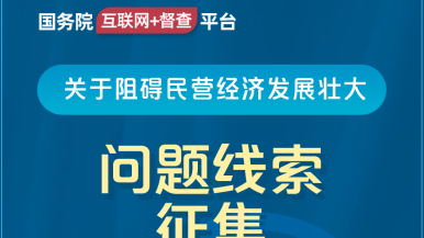 骚逼鸡巴电影国务院“互联网+督查”平台公开征集阻碍民营经济发展壮大问题线索